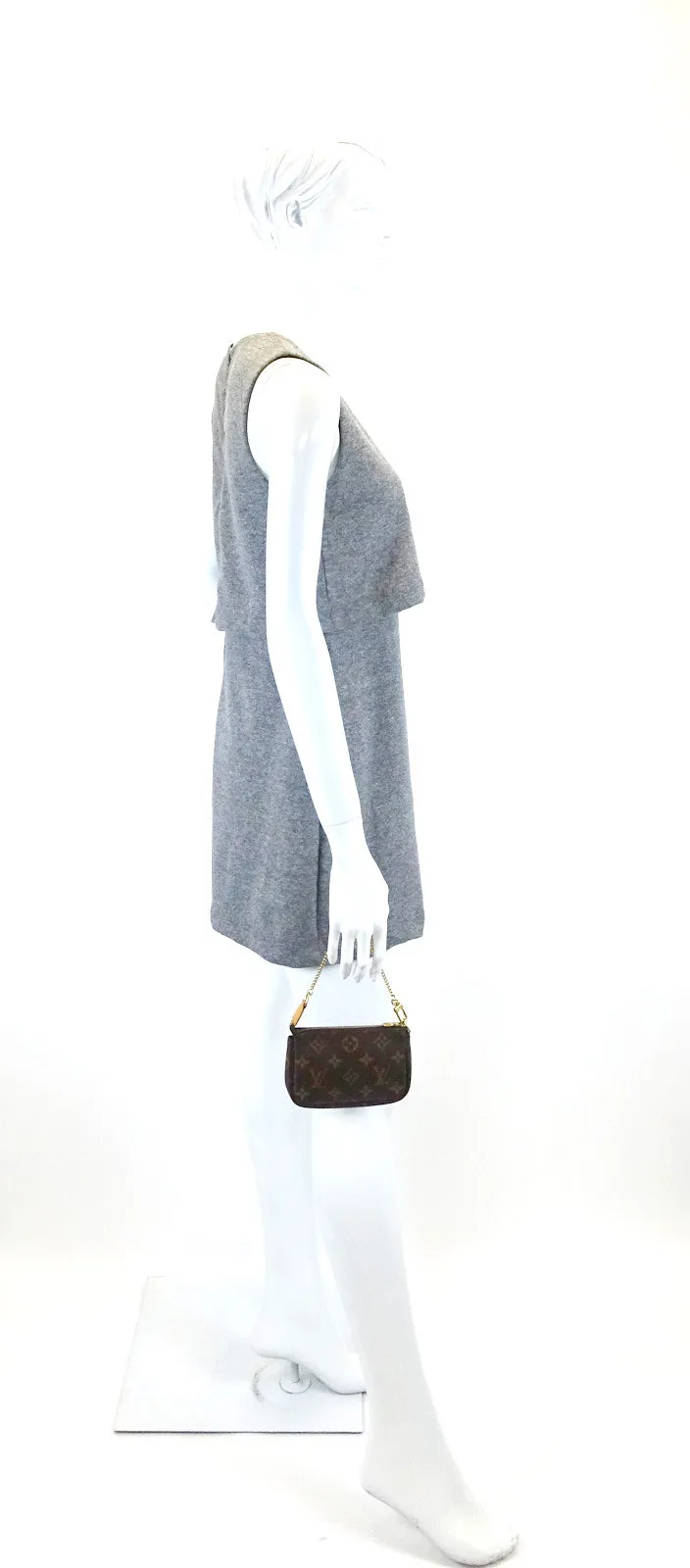 Mini Pochette Accessoires Monogram Canvas Bag